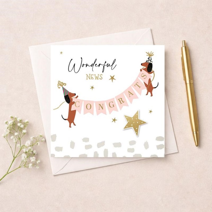 Congratulations Card - Daschunds