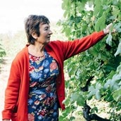Vineyard Tour, Tasting and Lunch for 2 | Choose from 2 UK locations
