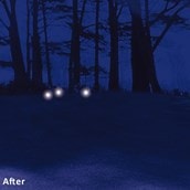 Golf Ball Finder Glasses | Never Lose a Ball Again Golf Ball Finder Glasses | Never Lose a Ball Again