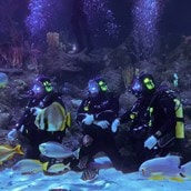 Dive with Sharks at Skegness Aquarium | Experience Day For 1