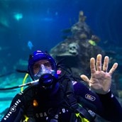Dive with Sharks at Skegness Aquarium | Experience Day For 1 Dive with Sharks at Skegness Aquarium | Experience Day For 1