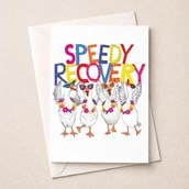 Large Get Well Soon Card - Fancy Geese