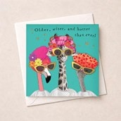 Birthday Card - Older, Wiser and Hotter Birthday Card - Older, Wiser and Hotter
