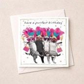 Birthday Card - Have A Purrfect Birthday