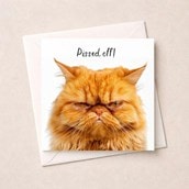 Open Card - Pissed Off! Open Card - Pissed Off!