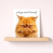 Sorry You're Leaving Card - Grumpy Cat