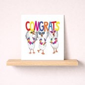 Congratulations Card - Congrats Geese Congratulations Card - Congrats Geese