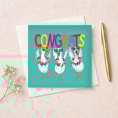 Congratulations Card - Congrats Geese Congratulations Card - Congrats Geese