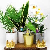 Royal Plant Markers Royal Plant Markers