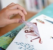 The Ocean Discovery Poster with Stickers