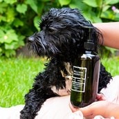 William Morris Lavender and Patchouli Dog Shampoo William Morris Lavender and Patchouli Dog Shampoo