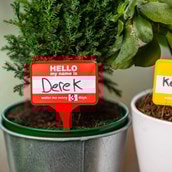 House Plant Name Tags