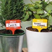 House Plant Name Tags