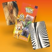 Name That Bumhole Card Game | 55 Animal bums Name That Bumhole Card Game | 55 Animal bums