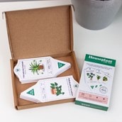 House Plant Care Tags House Plant Care Tags