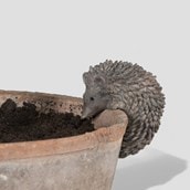 Hedgehog Plant Pot Hanger Hedgehog Plant Pot Hanger