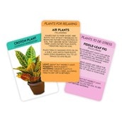 Positive Plants Cards Positive Plants Cards