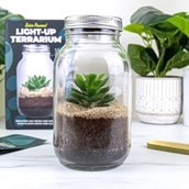Light-Up Terrarium Light-Up Terrarium