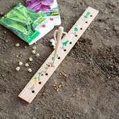 Seeding Ruler and Dibber