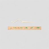 Seeding Ruler and Dibber