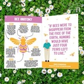 Save The Bees Grow Book Save The Bees Grow Book