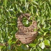 Blackbird Nester Blackbird Nester