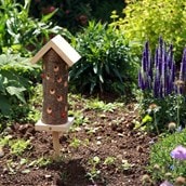 Ladybird Tower Ladybird Tower