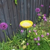 Sunflower Bird Feeder Sunflower Bird Feeder