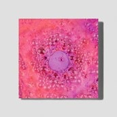 DIY Bath Bomb Kit DIY Bath Bomb Kit