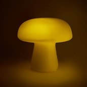 Mushroom Light Mushroom Light
