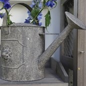 Aged Metal Watering Can Aged Metal Watering Can