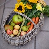 Bembridge Forage Basket