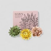 Ceramic Wall Art Flowers Set Of 3