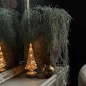 Abigail Ahern Artificial Frosted Spanish Moss Abigail Ahern Artificial Frosted Spanish Moss