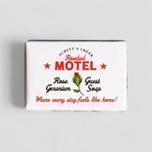 Famous Hotel Soaps