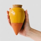 House Plant Water Resevoirs