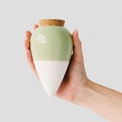 House Plant Water Resevoirs