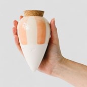 House Plant Water Resevoirs