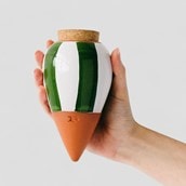 House Plant Water Resevoirs House Plant Water Resevoirs