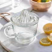 Classic Glass Juicer