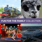 Fun for the Family Collection Fun for the Family Collection