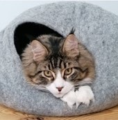 Pet Cocoon Beds