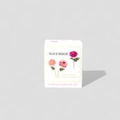 Birth Month Flower Gifts