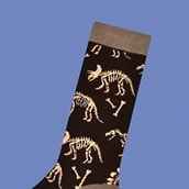 Dinosaur Socks Dinosaur Socks