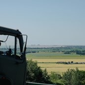 Port Lympne Reserve Visit, Truck Safari and Afternoon Tea for Two