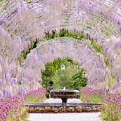 Visit to a RHS Garden for Two Visit to a RHS Garden for Two