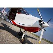 30 Minute Flying Lesson