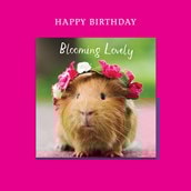 Magnet Card - Blooming Lovely Guinea Pig