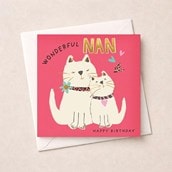 Nan Birthday Card - Wonderful Nan Cats