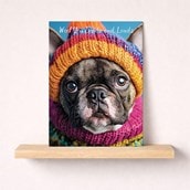 Just To Say Card - Woof You Loads And Loads Just To Say Card - Woof You Loads And Loads